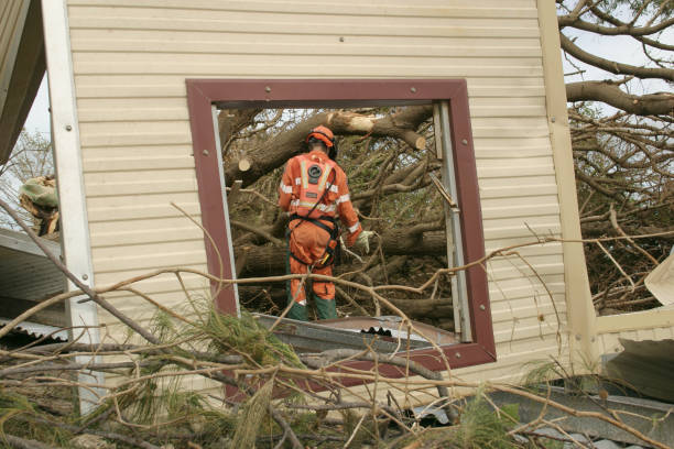 Moody, TX Tree Services Company